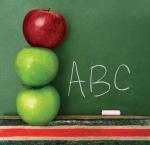 الصورة الرمزية دنيا أحمد