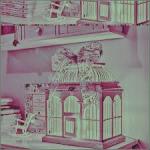 الصورة الرمزية حوراء أحمد