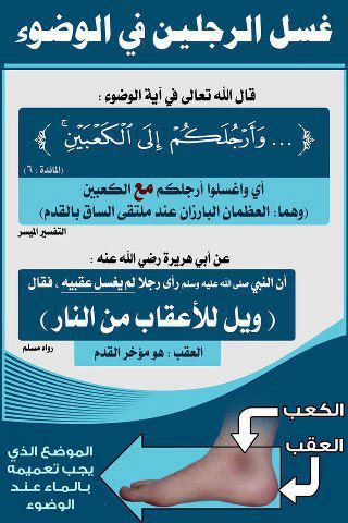 ���� ���� ������ �� ���� ������