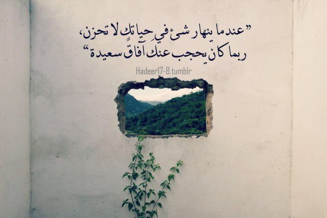 ���� ���� ������ �� ���� ������