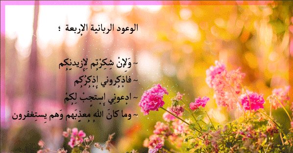 ���� ���� ������ �� ���� ������