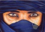 الصورة الرمزية الجيلالي محمد